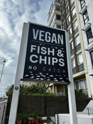   at The No Catch Co in Brighton