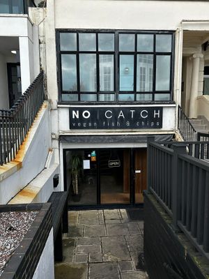   at The No Catch Co in Brighton
