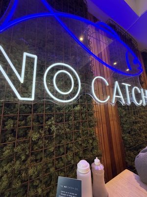   at The No Catch Co in Brighton