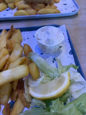   at The No Catch Co in Brighton
