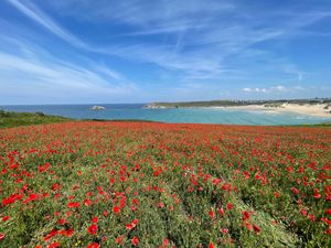 Headland walks at The Bowgie Inn in Newquay