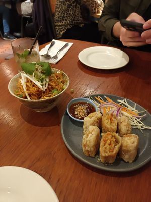 Spring rolls and crispy noodles at Chim's in Sutton