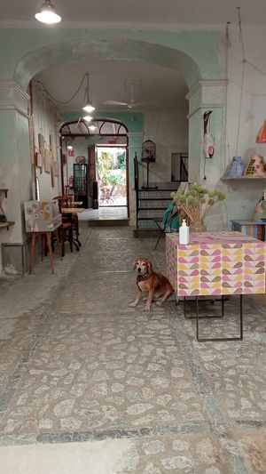 Miga de Nube at Miga de Nube in Mallorca