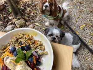   at Miga de Nube in Mallorca