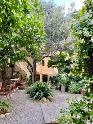   at Miga de Nube in Mallorca