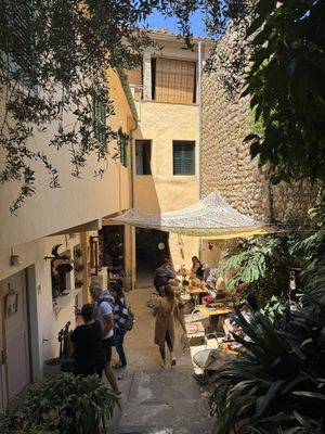Looking back from the garden spaces.  at Miga de Nube in Mallorca