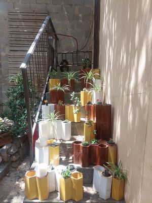 Garden at Miga de Nube in Mallorca