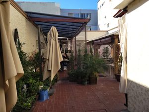 Back seating  #Veganuary at Seoul in Tijuana