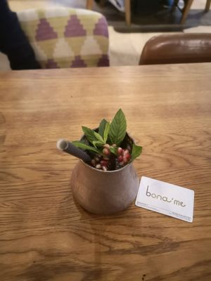 Pomegranate Sherbet (lemonade) at Bona'me in Cologne