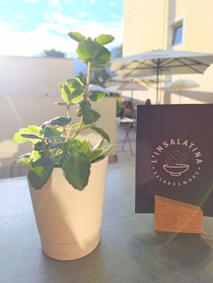  at L‘ Insalatina in Merano