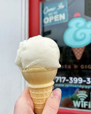 Dairy-free lemon sorbet at Splits and Giggles Cafe in Lancaster