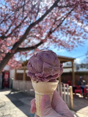 Oat-Milk based Acai berry ice cream. (V) at Splits and Giggles Cafe in Lancaster