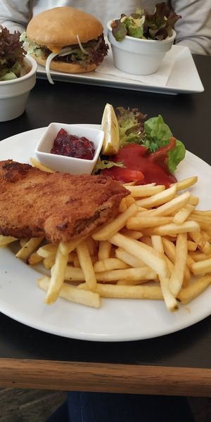 Soja Schnitzel nach Wiener Art mit Pommes at Dada in Regensburg