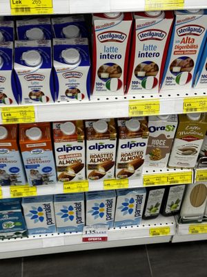   at Conad Aega Merxhani in Shkoder