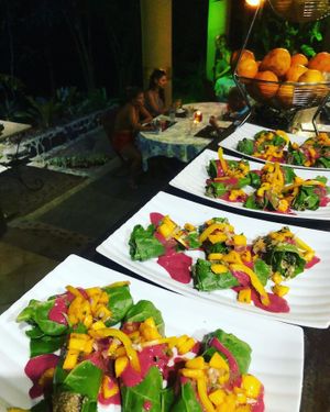 Raw vegan chard rolls filled with nut pate with mora berry sauce and mango salsa at the Waterfall Villas  at Waterfall Villas in Dominical