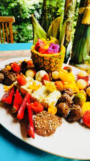 Fruit plate and raw treats at the Waterfall Villas  at Waterfall Villas in Dominical