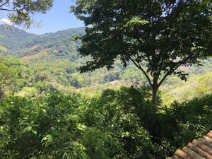 The Waterfall Villas property is 14 acres of trails and habitat for sloths, monkeys, wild Turkey, deer, Toucans … - this is our view the Baru river from the bamboo deck at Waterfall Villas in Dominical