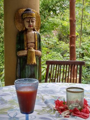 Every meal had fresh juice.... this one was papaya.  And, again.... the amazing view! at Waterfall Villas in Dominical