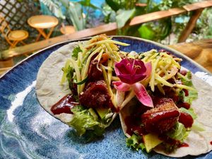  at La Junta in Dominical