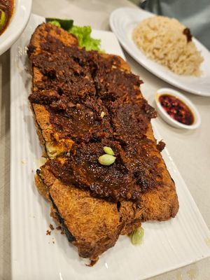 Sambal hooish ~ 19/10/23 at D'life 蔬食 - Somerset  in Central Singapore