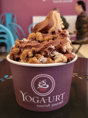 Chocolate and peanut butter swirl with coconut flakes and mulberries at Yoga-urt - Santa Monica in Santa Monica