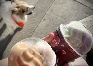   at Yoga-urt - Santa Monica in Santa Monica