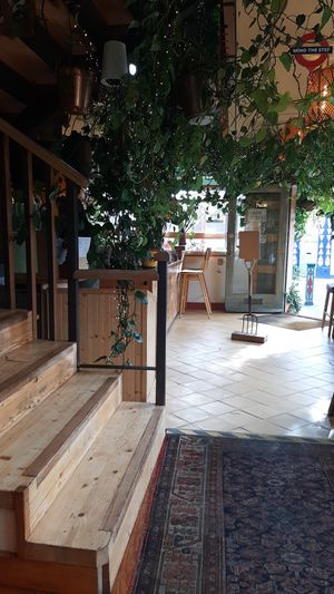 Plants everywhere at The Garden of Easton in Bristol