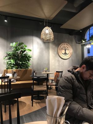 inside at Copper Branch in Utrecht