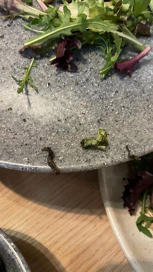   at Copper Branch in Utrecht