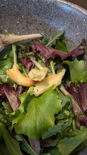   at Copper Branch in Utrecht