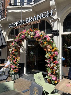   at Copper Branch in Utrecht