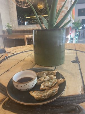 Gyoza at Amarre Marina in Barcelona