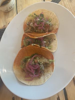 Seitan  at Amarre Marina in Barcelona