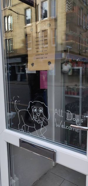 Dog are warmly welcomed! at Urban Jungle Brunch Room in Edinburgh