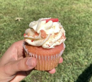   at Sweet Vegan Bakes in Chicago