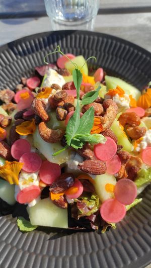 Salad with homemade root pickles, salty almonds, flowers, white melon  and vegan feta cheese at Sono Matseljur in Reykjavik