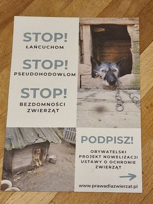 🐾 at Vega in Warsaw