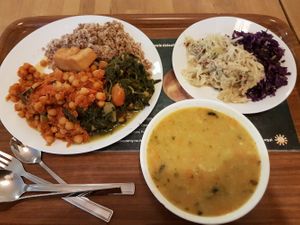 17.90  Zloty (€4.20) for plenty of healthy food at Vega in Warsaw