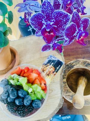 the shop is super natural and bright with lots of plants  at Bountiful Bowls in Lewes