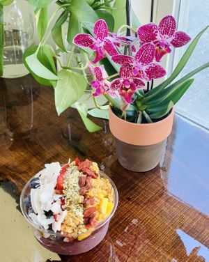 additional toppings include: coconut, peanut butter, almond butter, goji berries, cocoa nibs, hemp seeds, chia seeds, nutella and bee pollen   at Bountiful Bowls in Lewes