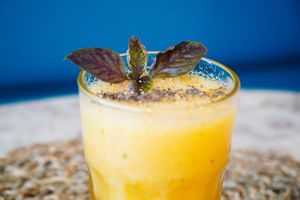  at Alegre-me in Setubal