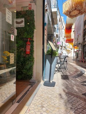  at Alegre-me in Setubal