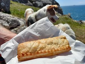 Sausage roll at Losh's Pasties in Haverfordwest