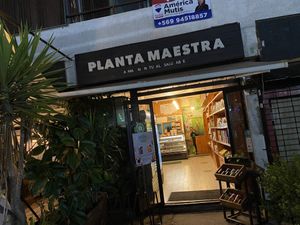 The Shop  at Planta Maestra - Manuel Montt - Maybe closed in Santiago