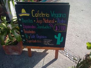 Planta Maestra Manuel Montt, now also serves wraps, sandwiches, salads, smoothies and deserts at Planta Maestra - Manuel Montt - Maybe closed in Santiago