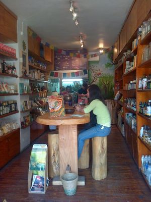 Planta Maestra Manuel Montt, tiny but cosy at Planta Maestra - Manuel Montt - Maybe closed in Santiago