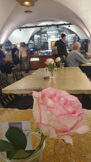  at ANNA in Straubing