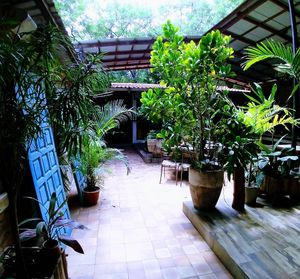 Outside dining at Machete Market Café in San Juan Del Sur