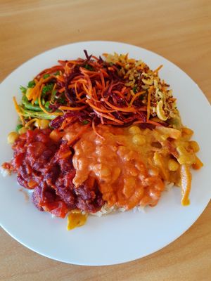 Selection of curries and salads at Three Pillars Cafe in New Plymouth
