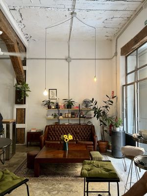 Interior  at Slow Café in Madrid
